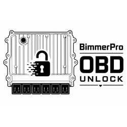 Canada Local BMW DME / ECU Unlock 2021+ | MG1 Bench Unlock